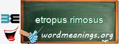 WordMeaning blackboard for etropus rimosus